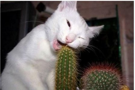 �������� ������: ��� �������� �����!