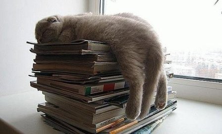 �������� ������: ��� �������� �����!