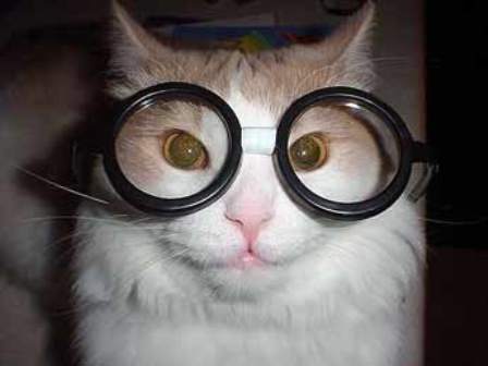 �������� ������: ��� �������� �����!