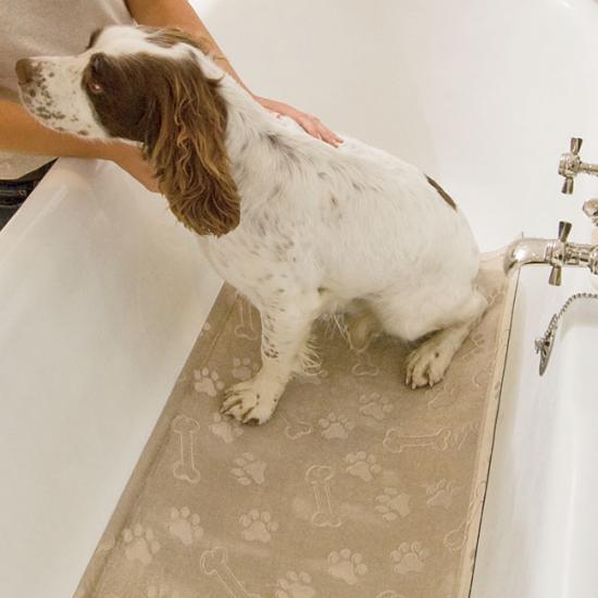 ������� ������ ��� ������