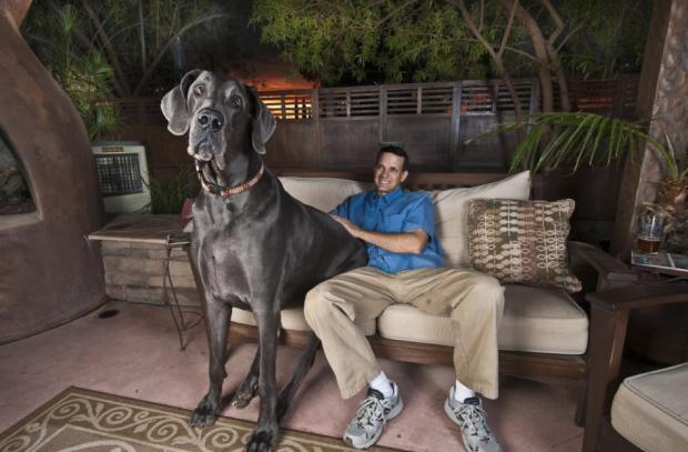 ����� ������� ������ � ����