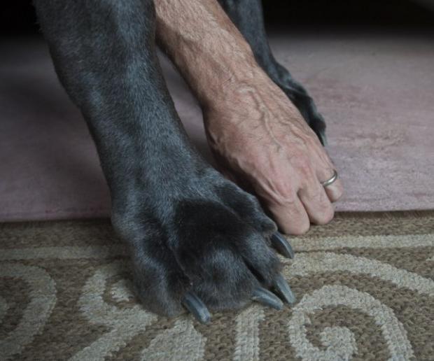 ����� ������� ������ � ����