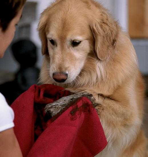 ��������� ��� �����