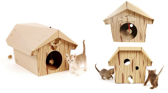 ���� ��� �����