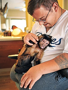 ������� ��������