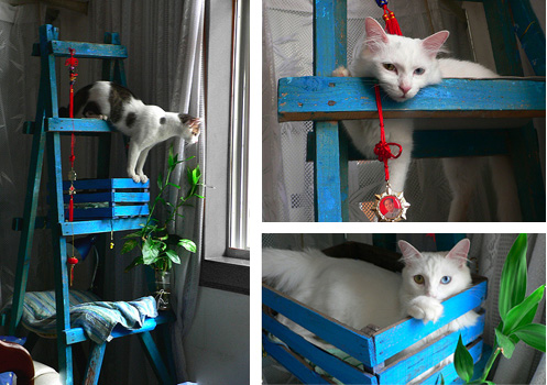 ����� �� ������