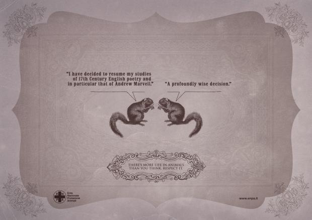 �������� �����, ��� �� ������