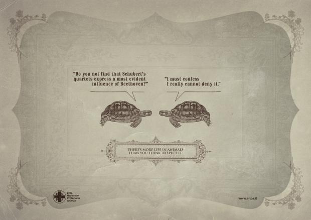 �������� �����, ��� �� ������