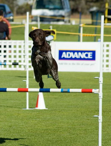 ������� �����