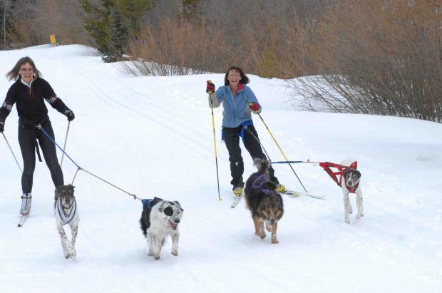 ������� �����