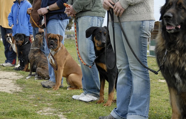 ������� �����