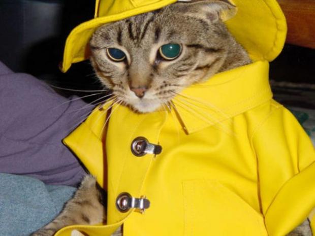 �������� ������ ��� �����