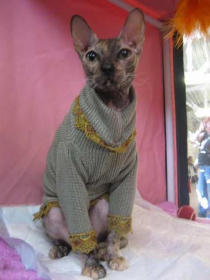 �������� ������ ��� �����