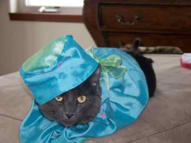 �������� ������ ��� �����