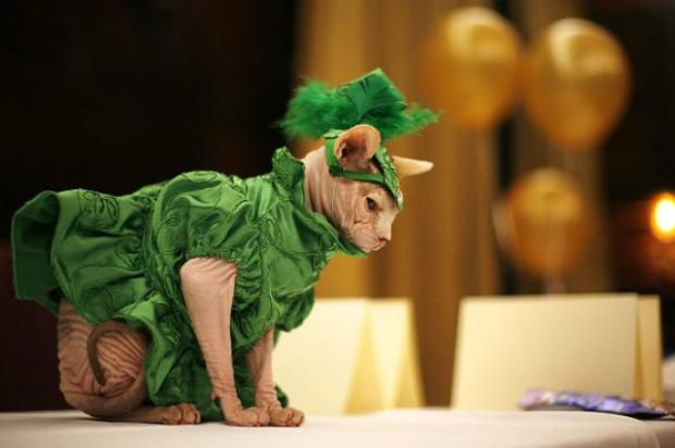 �������� ������ ��� �����