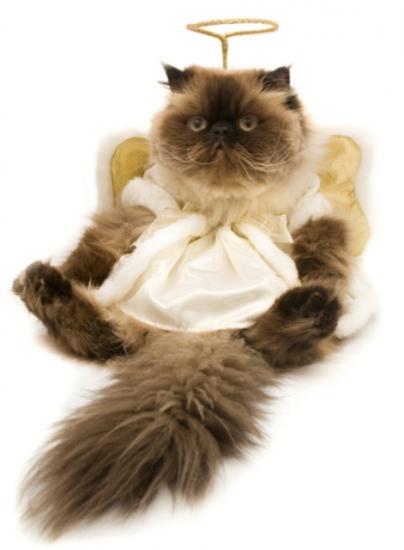 �������� ������ ��� �����