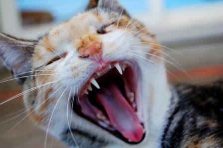 ���-�-���� ���! �������� ����