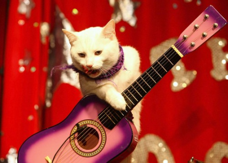 ���-�-���� ���! �������� ����