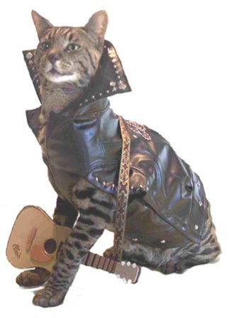 ���-�-���� ���! �������� ����