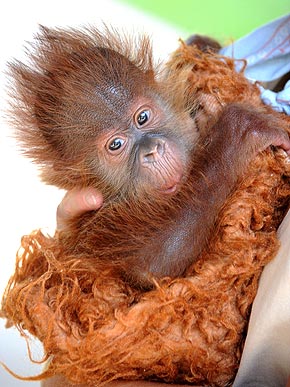 �� � ��������!