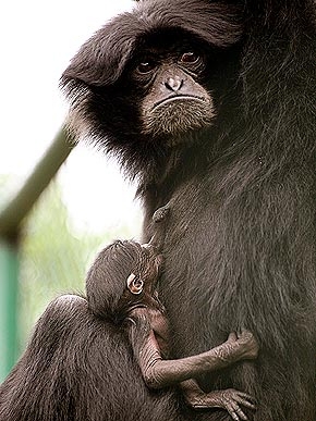 �� � ��������!