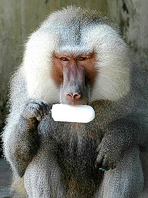 �� � ��������!