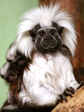 �� � ��������!