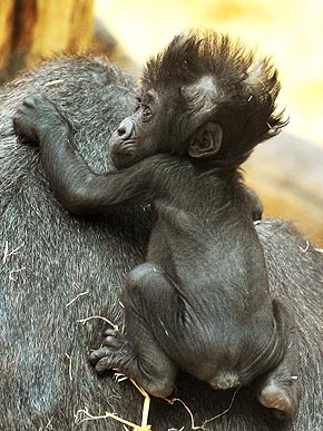 �� � ��������!