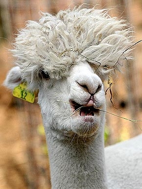 �� � ��������!