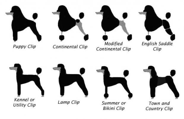 ������� ��� ������