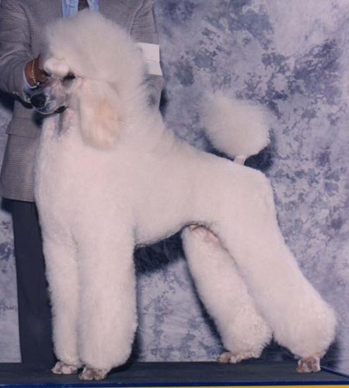 ������� ��� ������