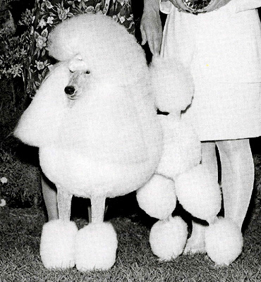 ������� ��� ������