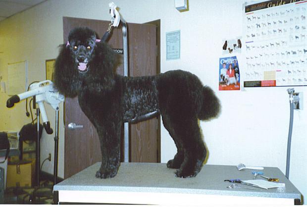 ������� ��� ������