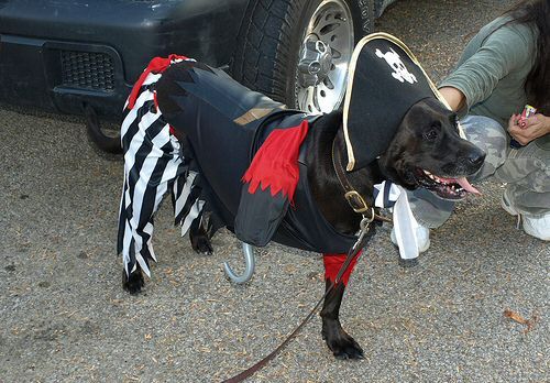 ������� ������� ��� �����