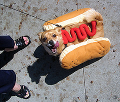 ������� ������� ��� �����