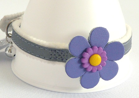 ������������ �������� ��� �����