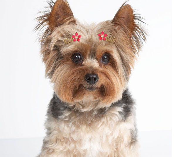 ��������� �����!