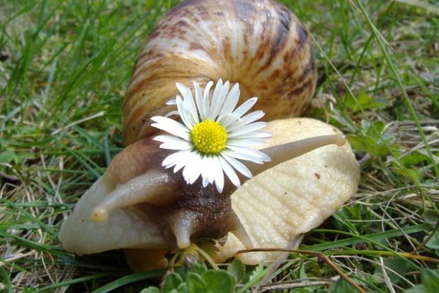 ������� � ������� � ����� ����������� ������