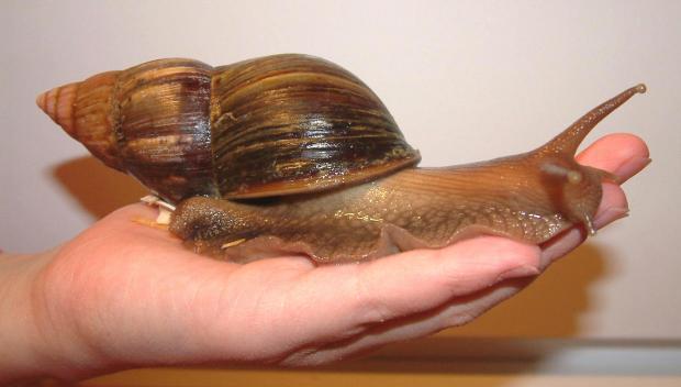 ������� � ������� � ����� ����������� ������