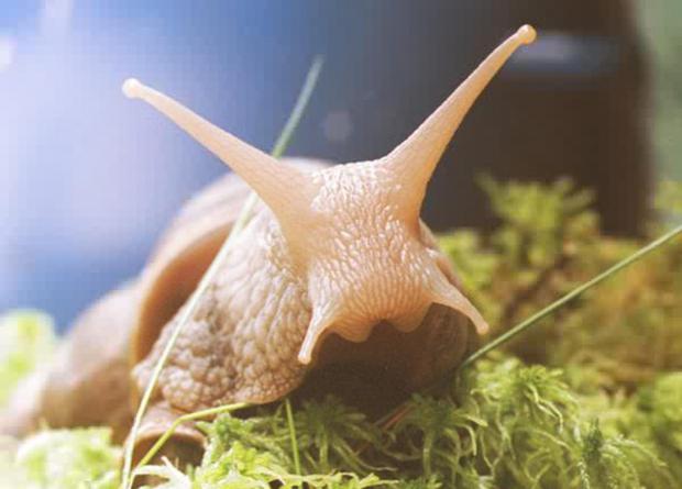 ������� � ������� � ����� ����������� ������