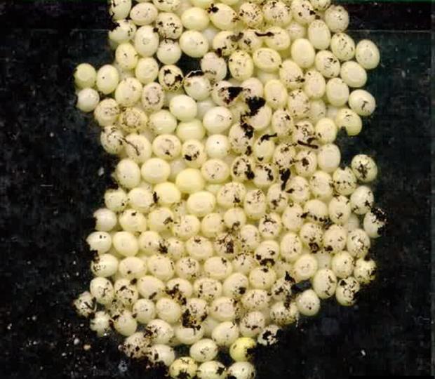 ������� � ������� � ����� ����������� ������