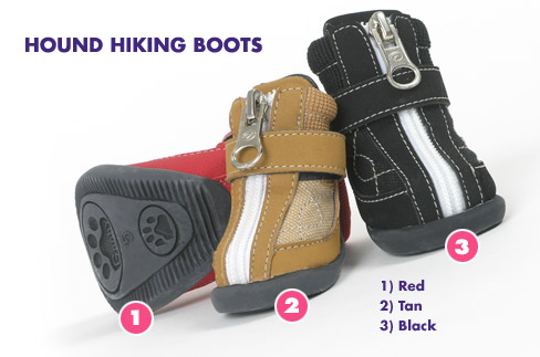 ����� ��� �����