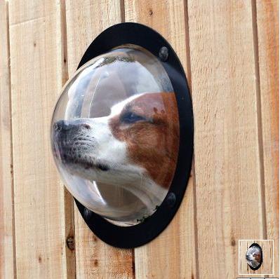 ����� � ������������