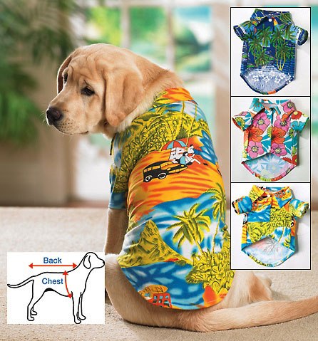 ��������� �����