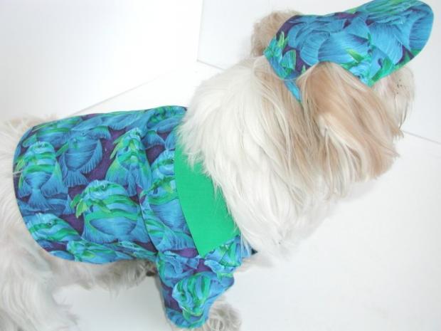 ��������� �����