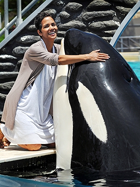 ������ � ������� ������