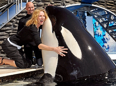 ������ � ������� ������