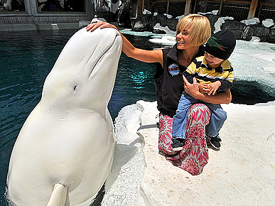 ������ � ������� ������