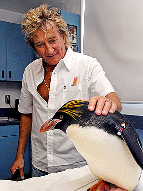 ������ � ������� ������