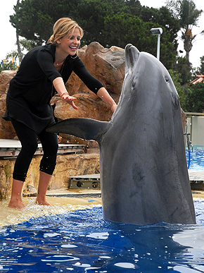 ������ � ������� ������